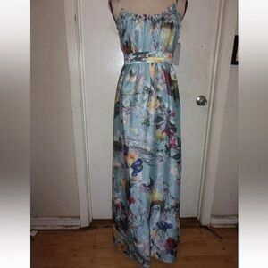 Little Mistress Floral Maxi Dress in Light Blue